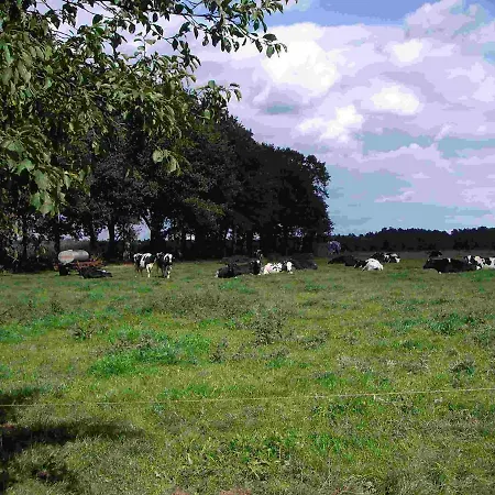 De Ole Spieker Appartement Munster im Heidekreis