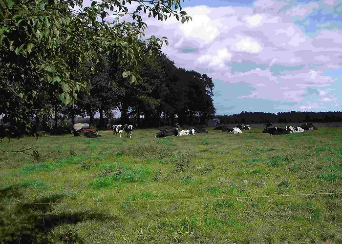 De Ole Spieker Daire Munster im Heidekreis